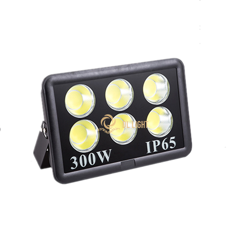 300W  outdoor Led flood light with best price-DLFL045